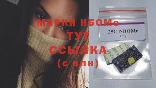 гидра Горнозаводск