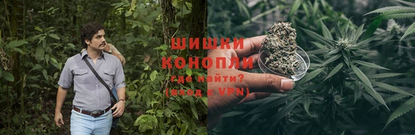 гидра Горнозаводск
